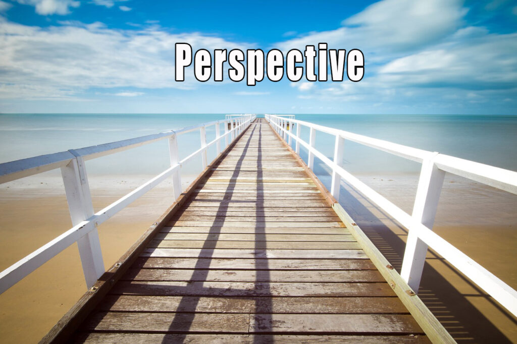 primary_care_training_perspective