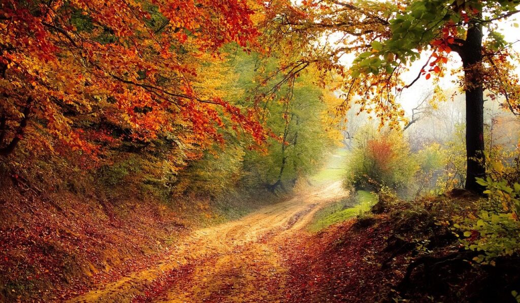 Whatever you are about to do, ask, is it kind, is it necessary and most of all, is it helpful.