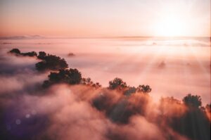 A serene sunrise over a foggy landscape, with sun rays shining through clouds and silhouetted trees, evokes the tranquility often sought after a busy week in primary care.